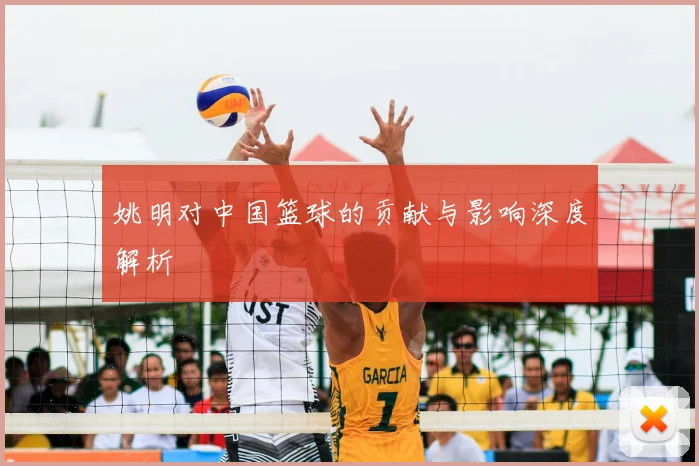 姚明对中国篮球的贡献与影响深度解析