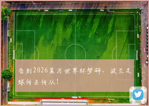 告别2026莱万世界杯梦碎，波兰足球何去何从！