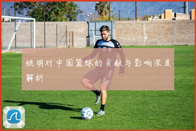 姚明对中国篮球的贡献与影响深度解析