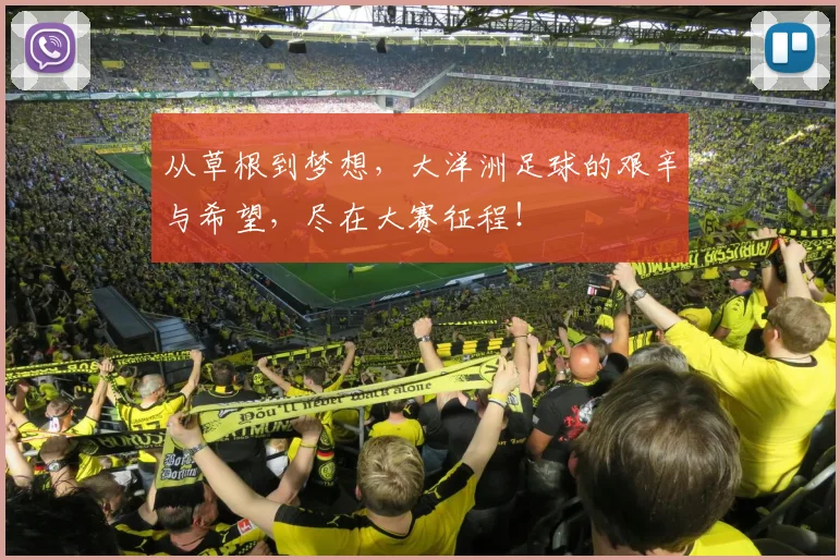 从草根到梦想,大洋洲足球的艰辛与希望,尽在大赛征程!